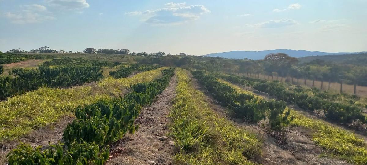 Fazenda, Zona Rural, 4 Quartos, 0 Vaga