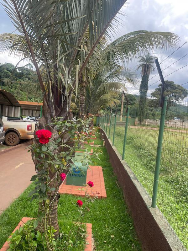 Apartamento, Brasília, 2 Quartos, 1 Vaga