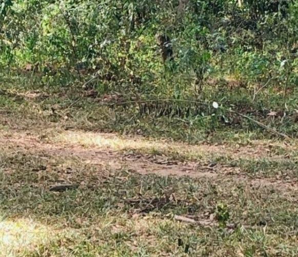 Fazenda, Zona Rural, 0 Quarto, 0 Vaga
