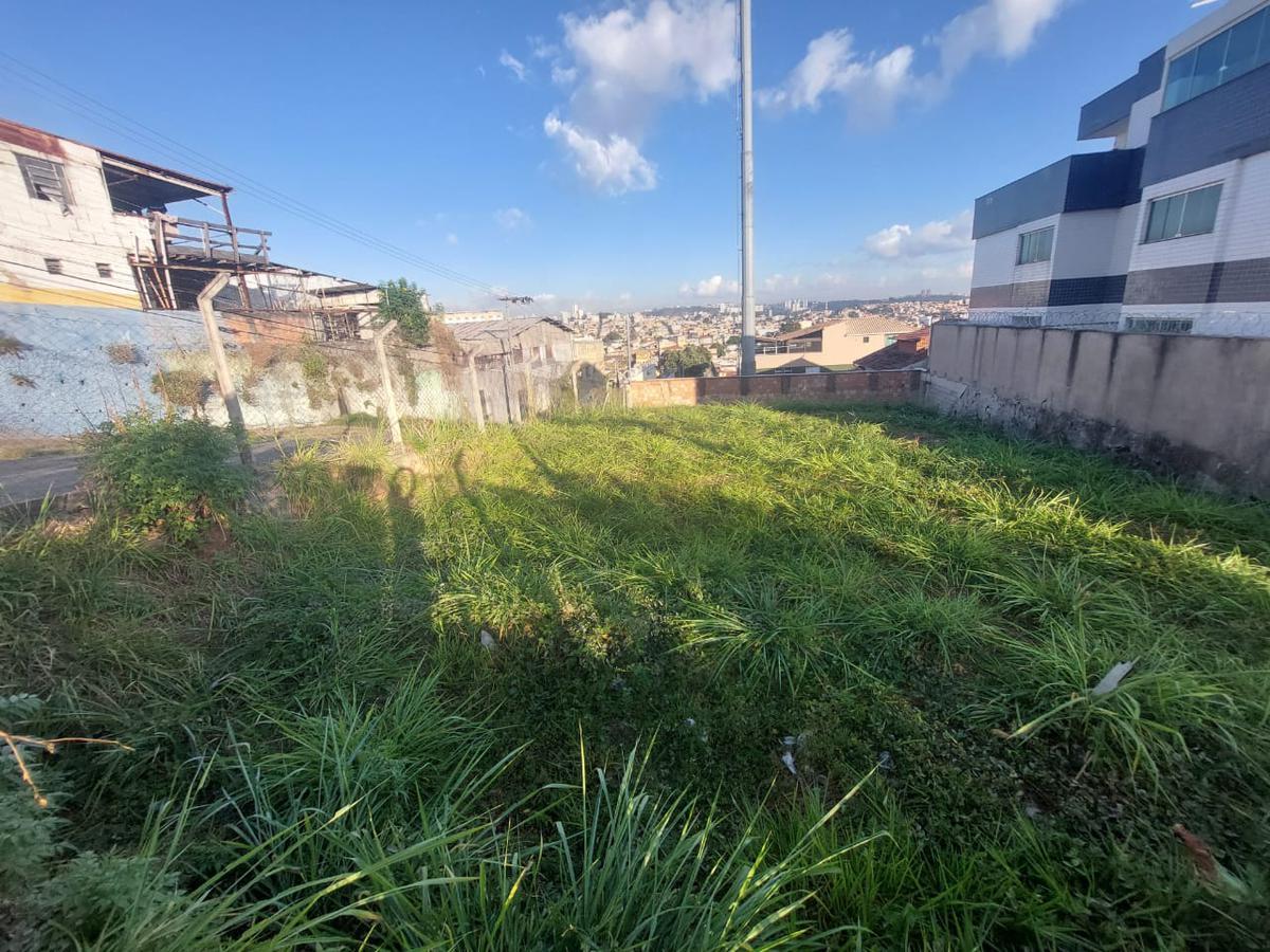 Lote, Cachoeirinha, 0 Quarto, 0 Vaga