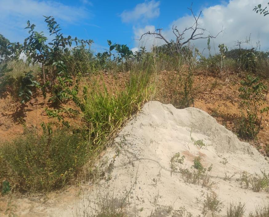 Lote, Residencial Parque dos Buritis, 0 Quarto, 0 Vaga