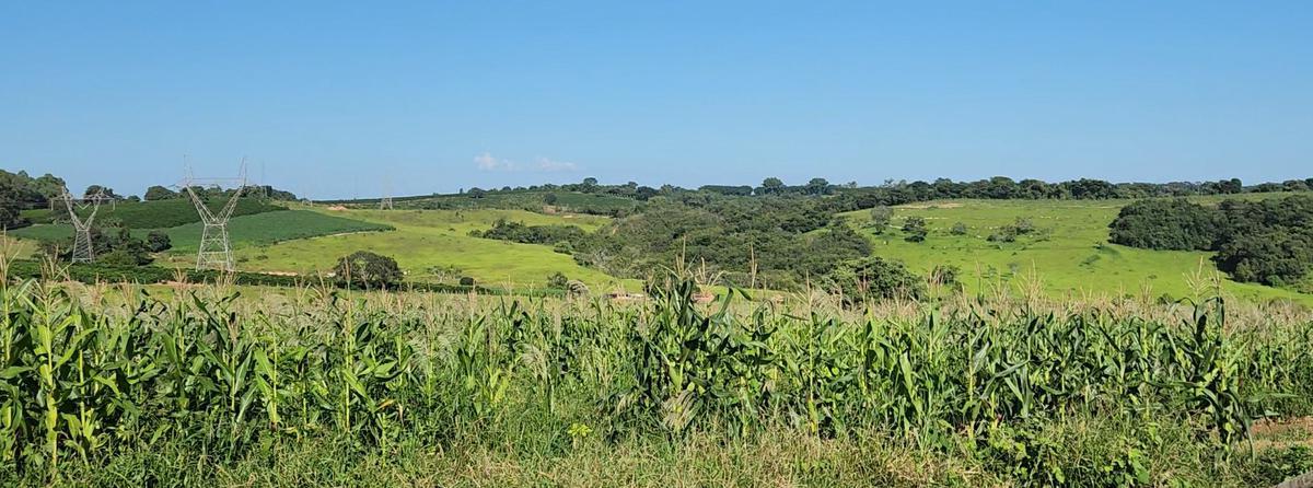 Fazenda, Zona Rural, 0 Quarto, 0 Vaga