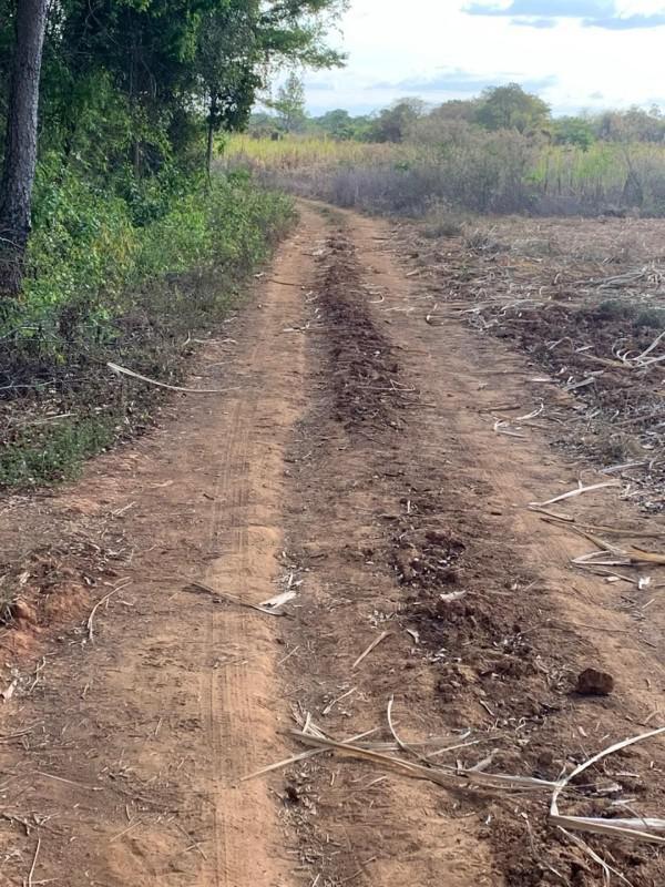 Fazenda, Centro, 0 Quarto, 0 Vaga