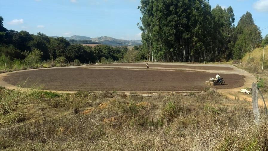 Fazenda, Centro, 1 Quarto, 1 Vaga, 1 Suíte