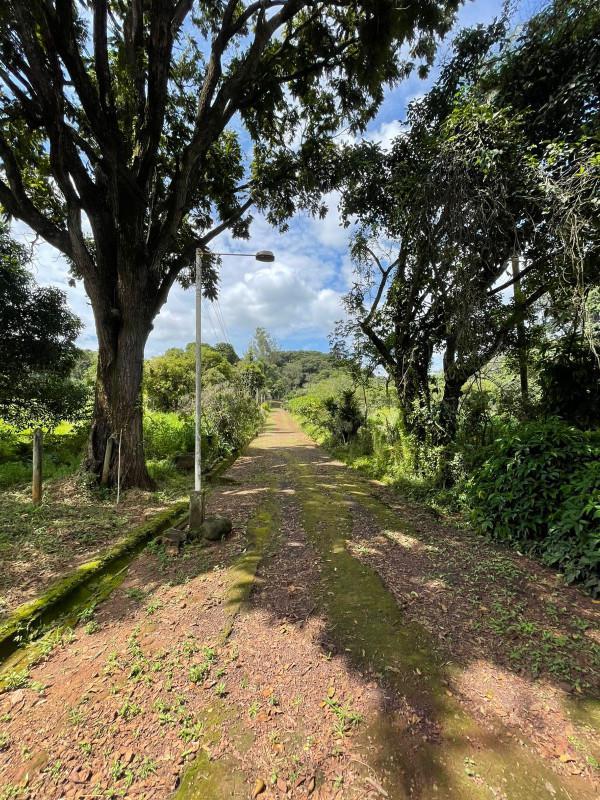 Fazenda, Centro, 8 Quartos, 0 Vaga