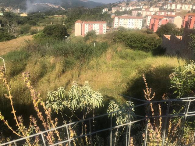 Lote, Jardim Vitória, 0 Quarto, 0 Vaga