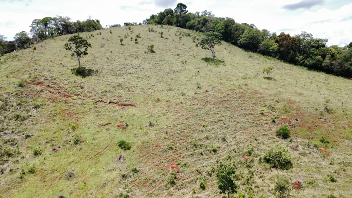 Fazenda, Centro, 0 Quarto, 0 Vaga
