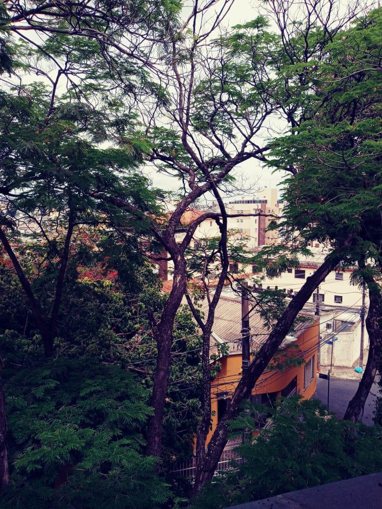 Apartamento, Prado, 2 Quartos, 1 Vaga, 1 Suíte