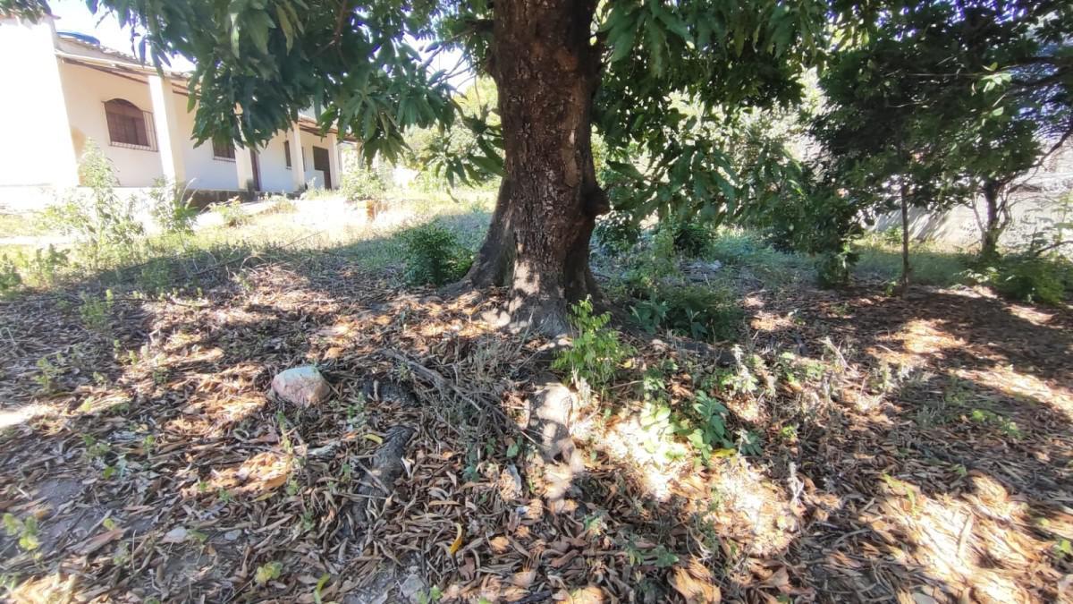 Lote, Novo Progresso, 0 Quarto, 0 Vaga