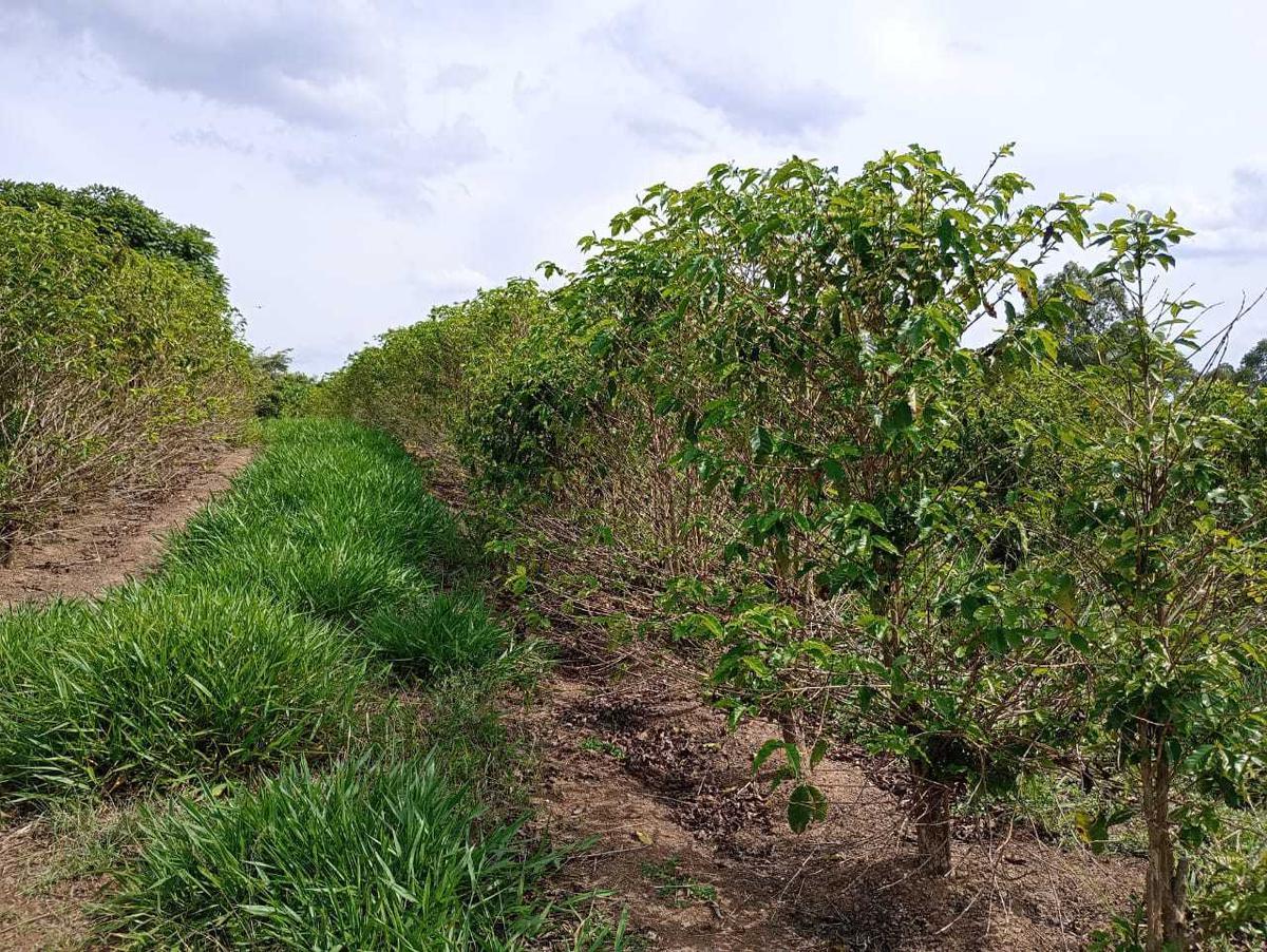 Fazenda, Zona Rural, 1 Quarto, 0 Vaga