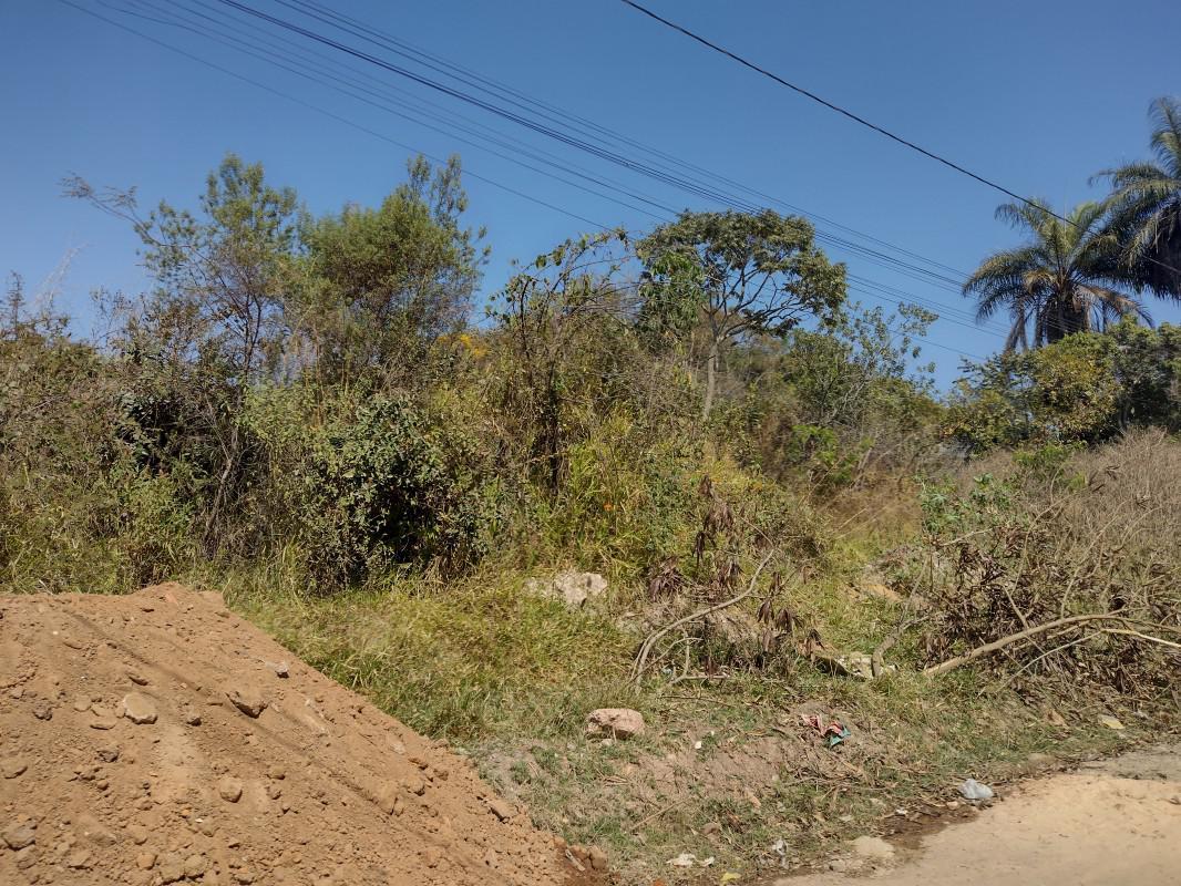 Lote, Chácara São Geraldo, 0 Quarto, 0 Vaga