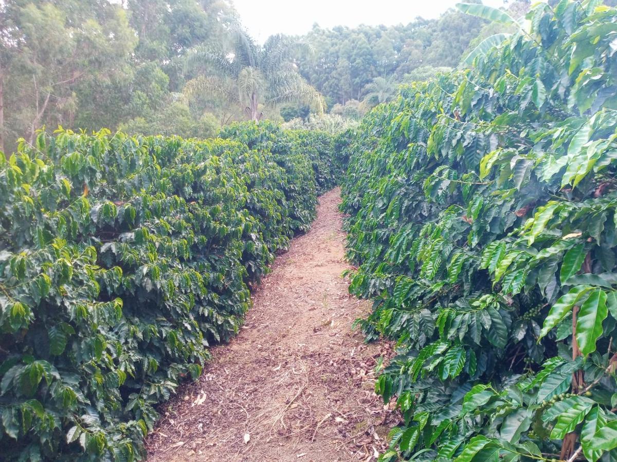Fazenda, Zona Rural, 0 Quarto, 0 Vaga