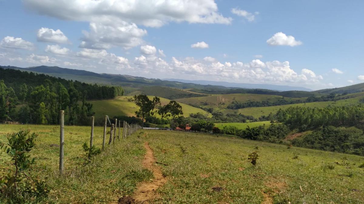 Fazenda, Centro, 0 Quarto, 0 Vaga