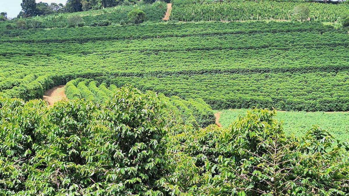 Fazenda, Zona Rural, 3 Quartos, 0 Vaga