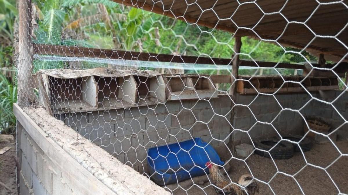 Fazenda, Centro, 6 Quartos, 3 Vagas