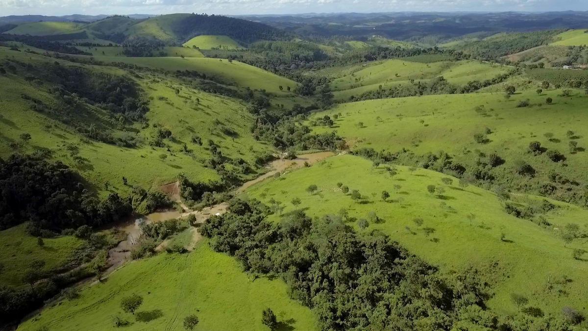 Fazenda, Centro, 1 Quarto, 1 Vaga