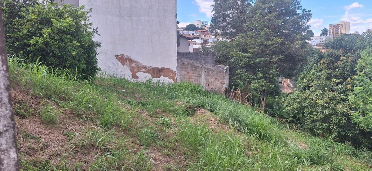 Lote, Centro, 0 Quarto, 0 Vaga