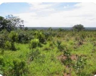 Fazenda, Zona Rural, 0 Quarto, 0 Vaga
