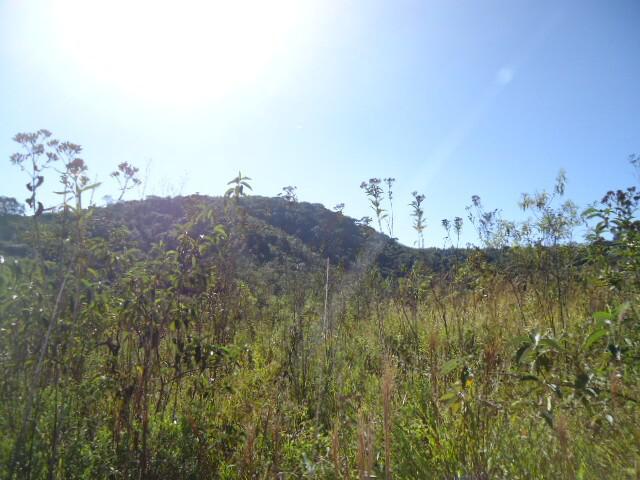 Lote, Santo Antonio do Leite, 1 Quarto, 1 Vaga