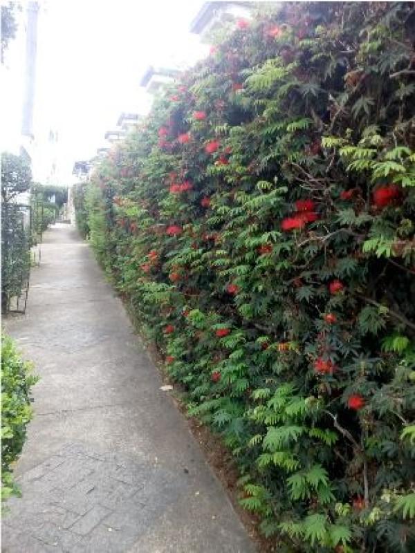 Apartamento, Jardim Guanabara, 2 Quartos, 0 Vaga