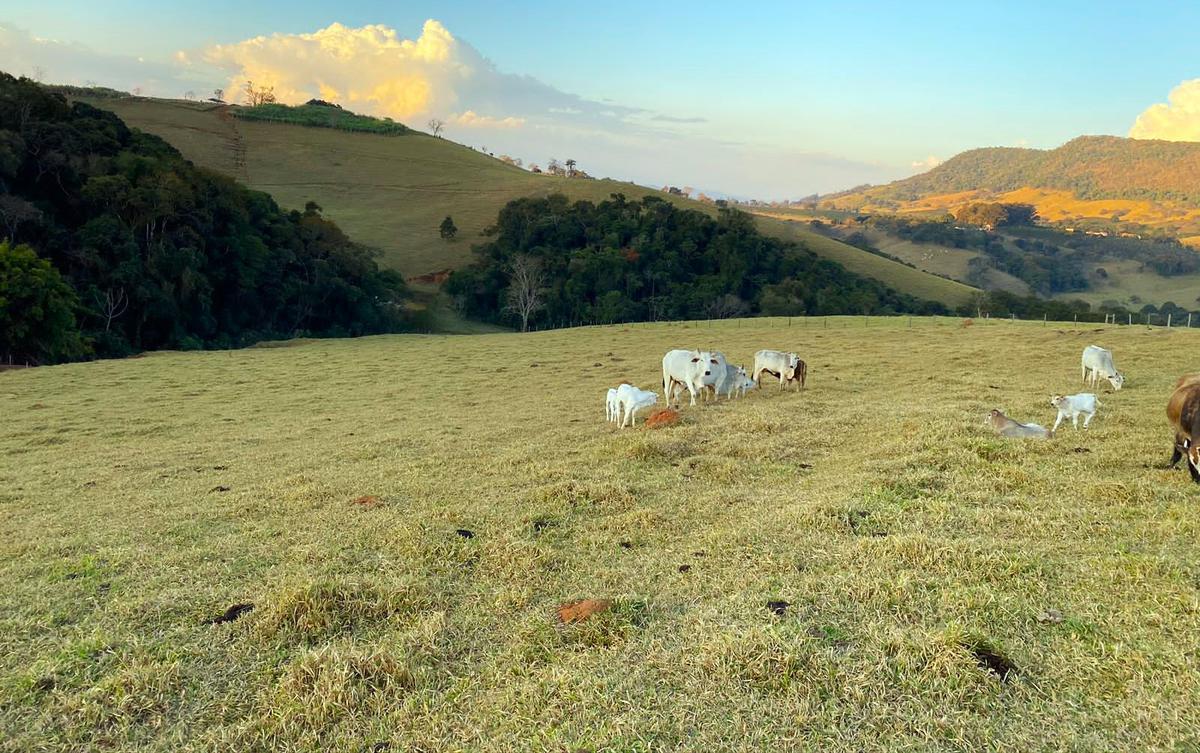 Fazenda, Zona Rural, 3 Quartos, 0 Vaga