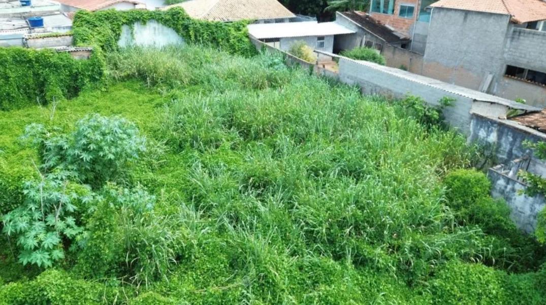 Lote, Centro, 1 Quarto, 0 Vaga