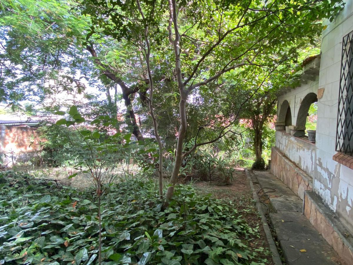 Lote, São João Batista (venda Nova), 0 Quarto, 0 Vaga