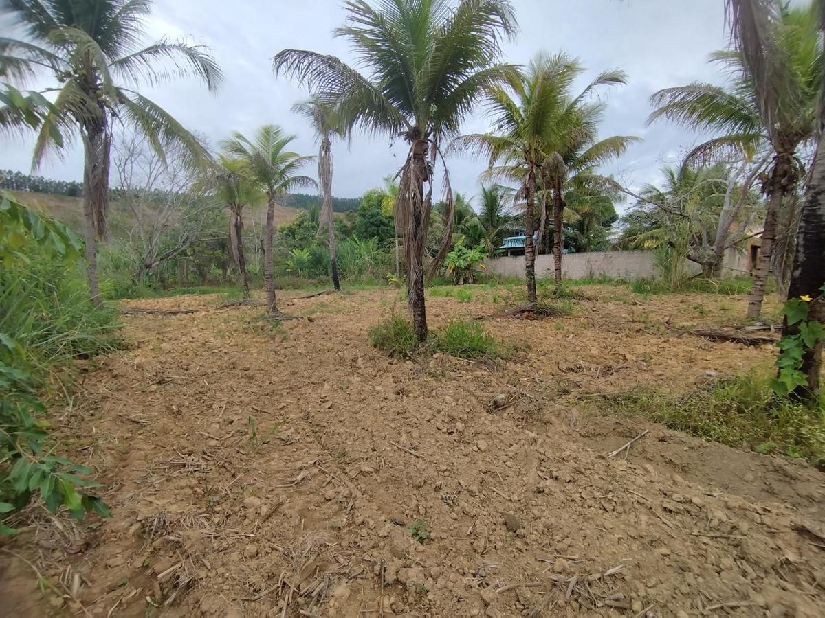 Lote, São Sebastião de Braúnas, 0 Quarto, 0 Vaga