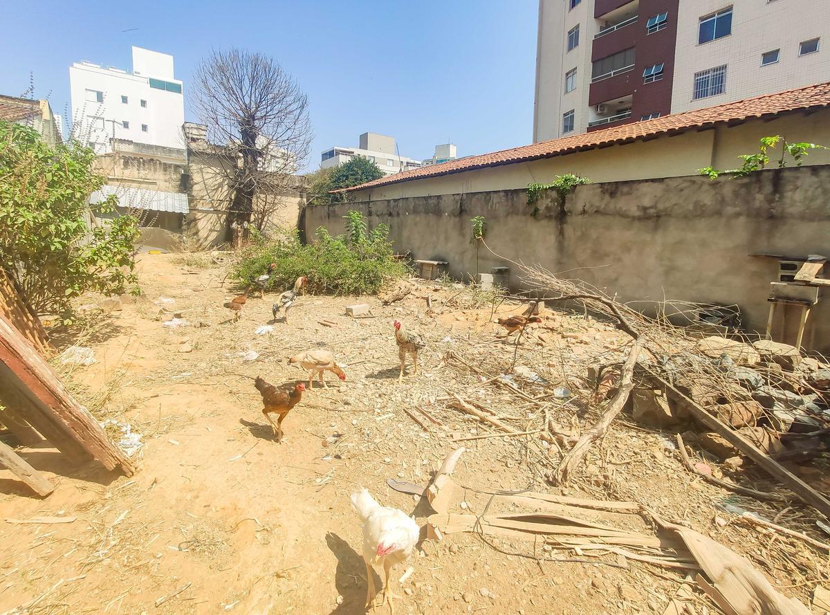 Lote, Jaraguá, 0 Quarto, 0 Vaga