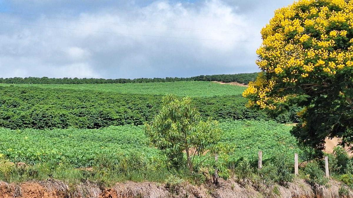 Fazenda, Zona Rural, 3 Quartos, 0 Vaga