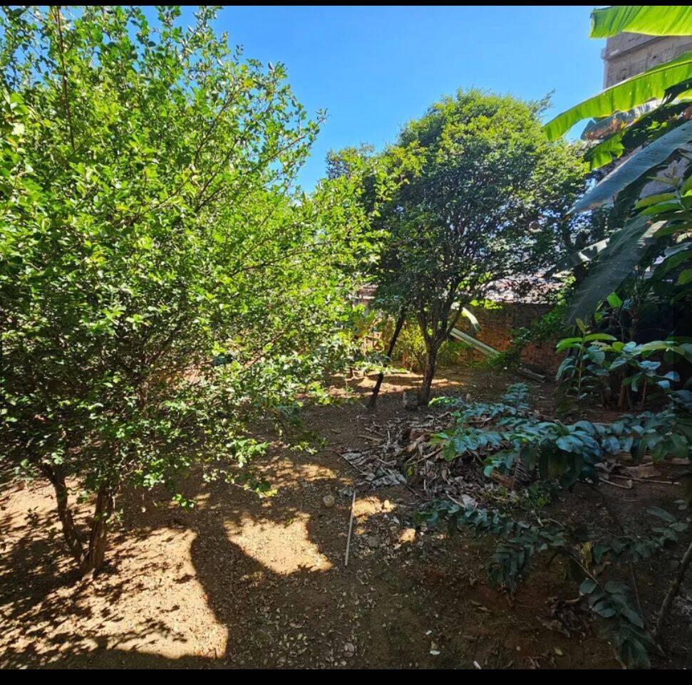 Casa, Júlia Kubitschek, 5 Quartos, 4 Vagas, 2 Suítes