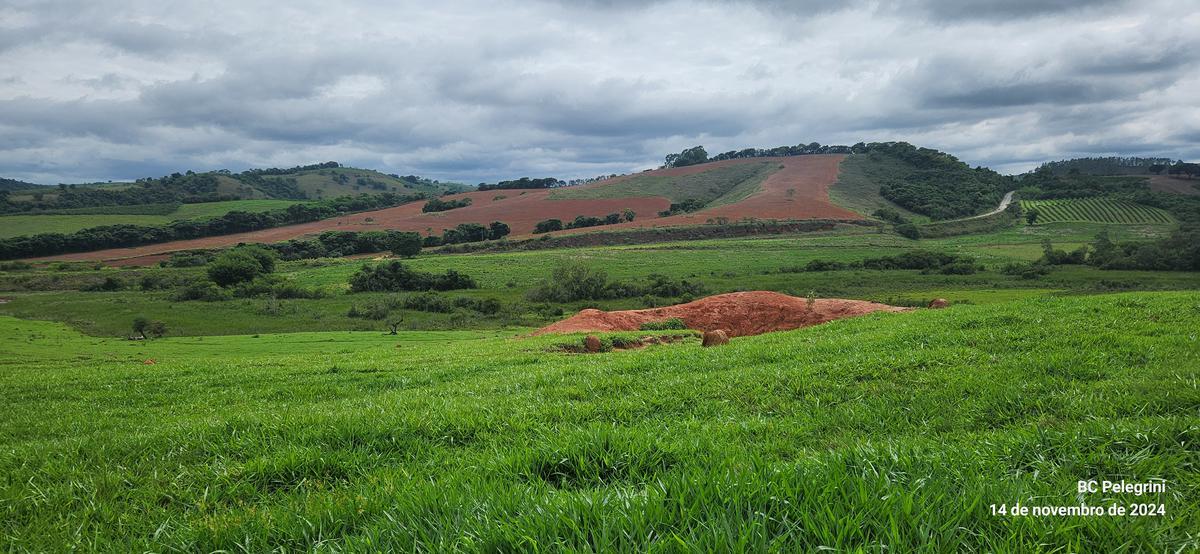 Fazenda, Centro, 3 Quartos, 0 Vaga
