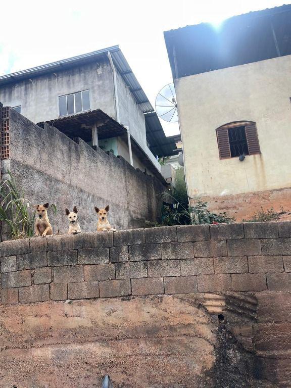 Casa, Mangabeiras, 2 Quartos, 0 Vaga