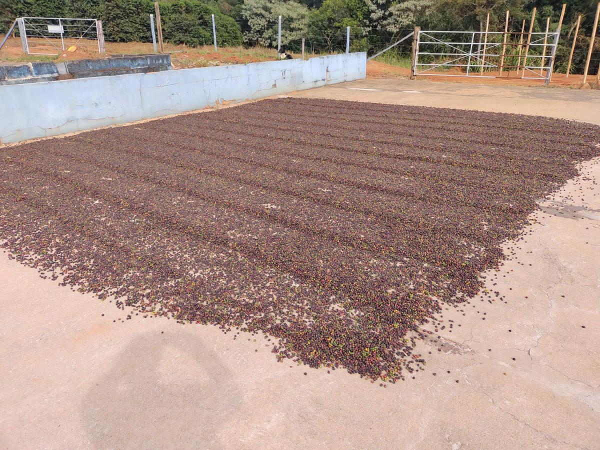 Fazenda, Zona Rural, 3 Quartos, 3 Vagas