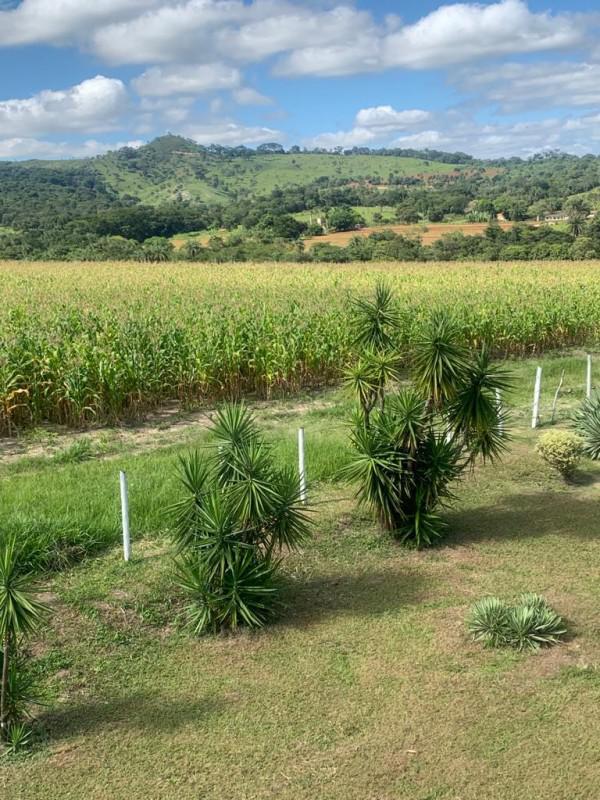 Fazenda, Centro, 3 Quartos, 10 Vagas, 1 Suíte