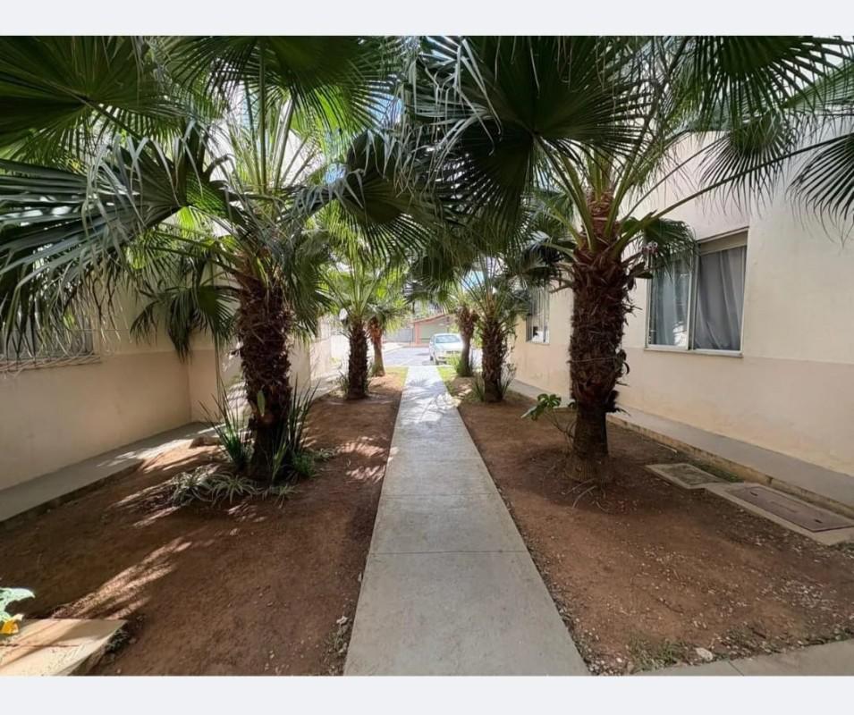 Apartamento, Amazonas, 3 Quartos, 2 Vagas