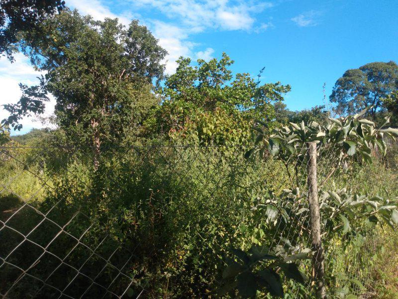 Fazenda, Centro, 3 Quartos, 0 Vaga