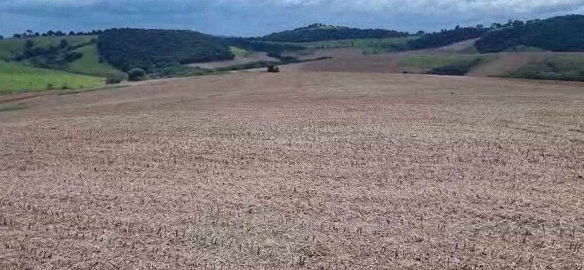 Fazenda, Zona Rural, 3 Quartos, 0 Vaga