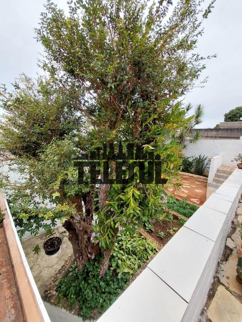 Casa, Vila Floresta, 2 Quartos, 0 Vaga