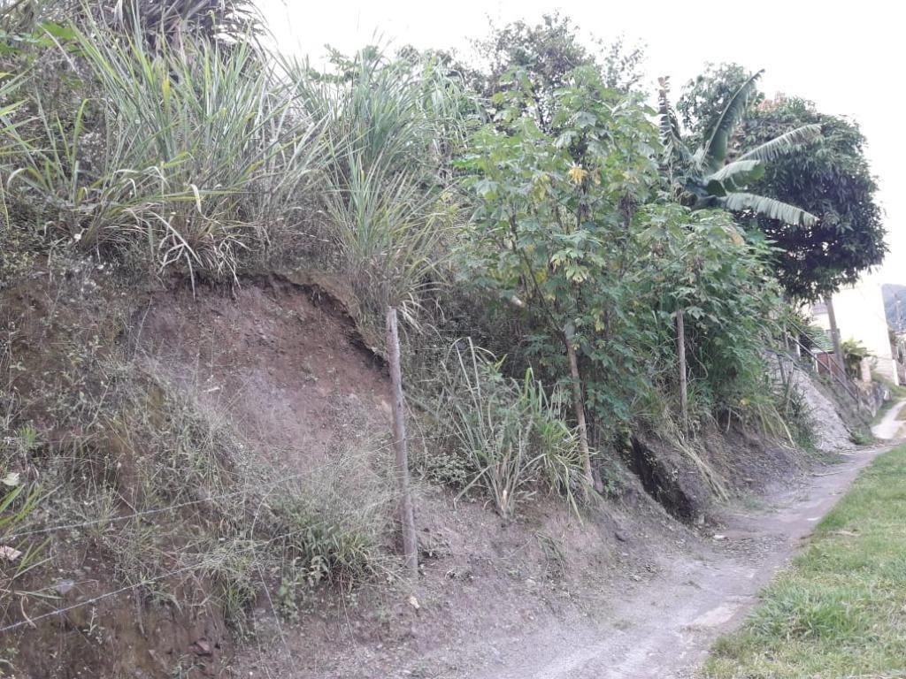 Lote, Morro São Francisco, 0 Quarto, 0 Vaga