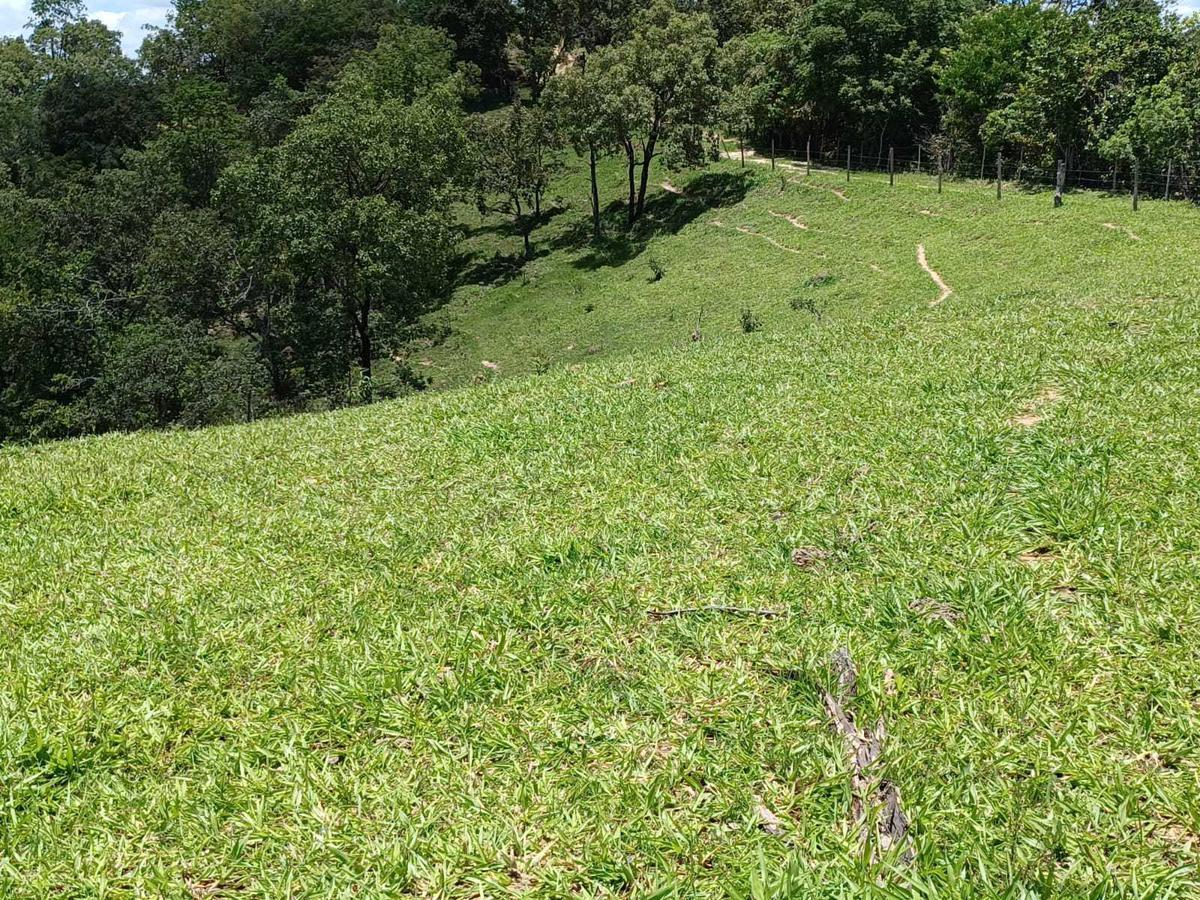 Fazenda, Urucuia, 3 Quartos, 0 Vaga, 1 Suíte