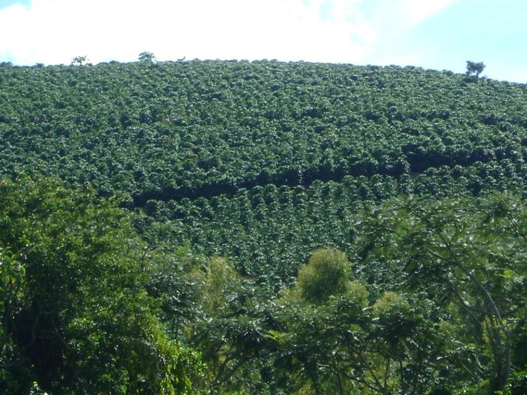 Fazenda, Centro, 3 Quartos, 1 Vaga