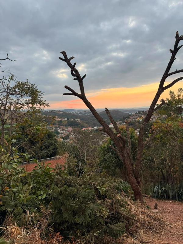 Lote, Novo Horizonte, 0 Quarto, 0 Vaga