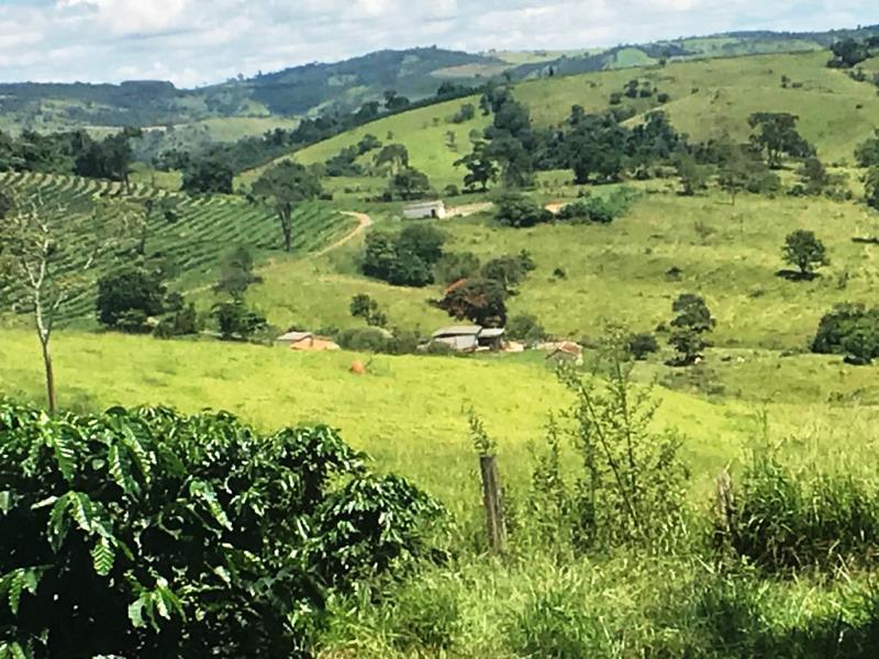 Fazenda, Zona Rural, 0 Quarto, 0 Vaga