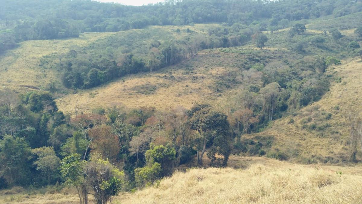 Fazenda, Zona Rural, 0 Quarto, 0 Vaga