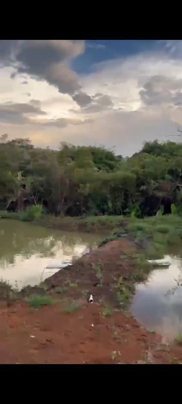 Fazenda, Zona Rural, 0 Quarto, 0 Vaga