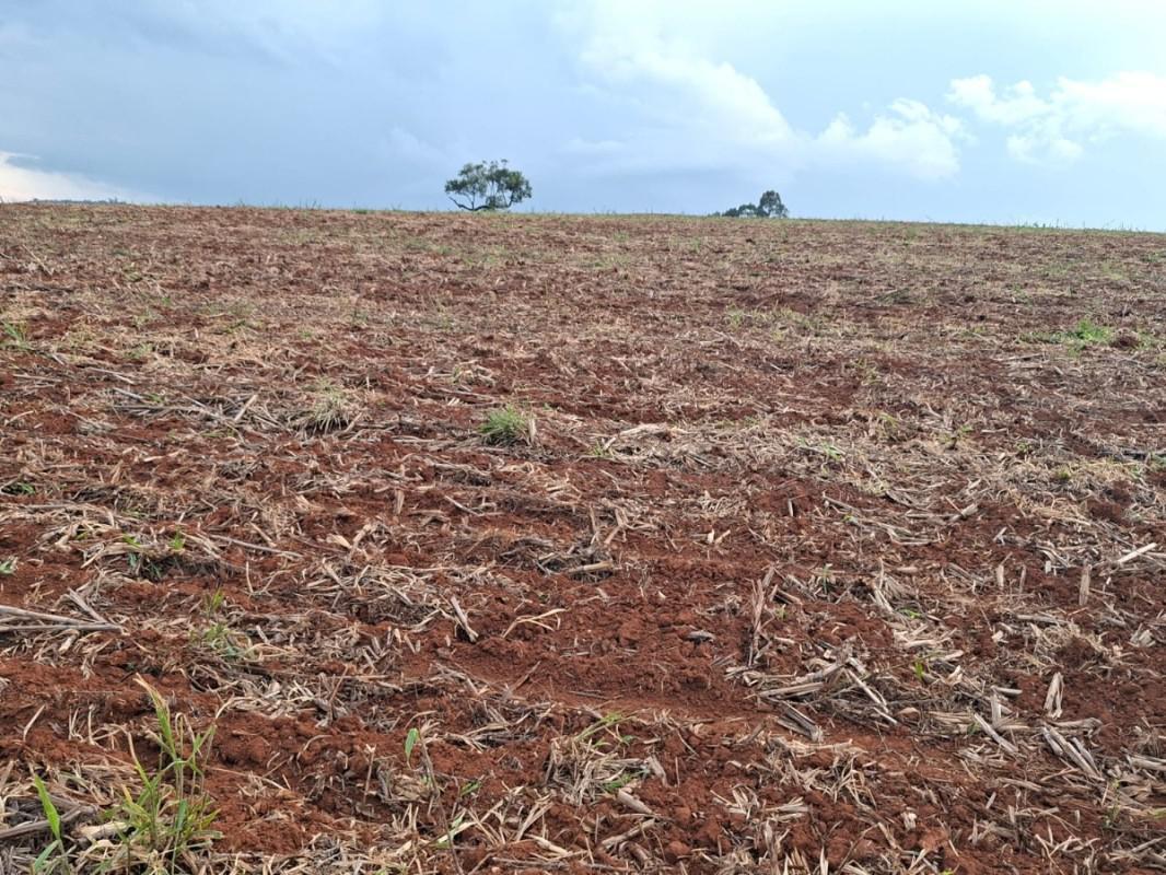 Fazenda, Zona Rural, 0 Quarto, 0 Vaga