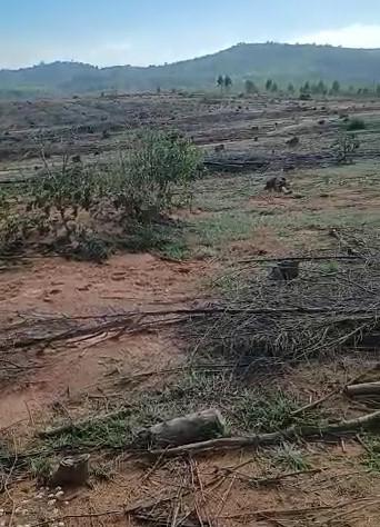 Fazenda, Zona Rural, 1 Quarto, 0 Vaga