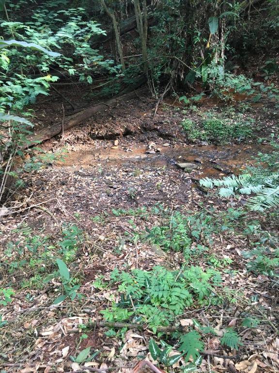 Lote, Mangueiras, 0 Quarto, 0 Vaga
