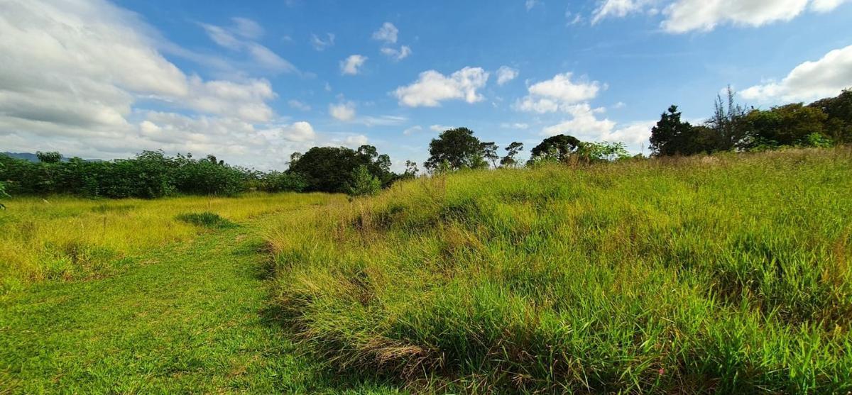 Lote, Centro, 4 Quartos, 2 Vagas